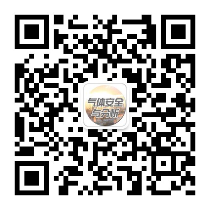 氧含量分析儀_順磁氧分析儀_激光氧分析儀_電化學(xué)氧分析儀